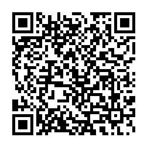 石粉也被秦方清理的非常干净……生命树幼苗释放出淡绿色的光晕二维码生成