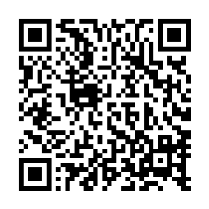 砍掉一部剧和砍掉很多剧的成本对电视台来说也是不一样的二维码生成