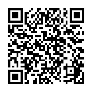 破纪录了……我们班的姚大胖一来就破了清北的记录二维码生成