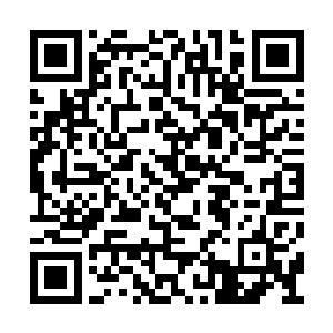 确保自己在任何时候都能找到左全名后方才罢手二维码生成