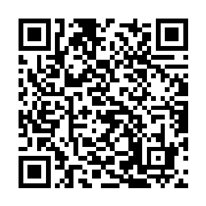 确定下来在年前选址启动第一批新建家属楼的工程二维码生成