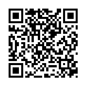 秦宇和轮回殿殿主的身影同时是在原地消失了二维码生成