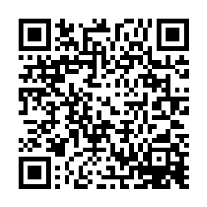 秦宇清楚的看到这和蛋壳一样的蛟龙内丹竟然出现了裂痕二维码生成