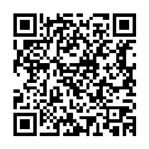 秦方和龙象法王的距离相当的近……龙象法王避不开秦方的轰击二维码生成