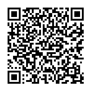 秦方比冰龙的动作还要更快一些的……手中早已经掌握多时的那一团四象琉璃火二维码生成
