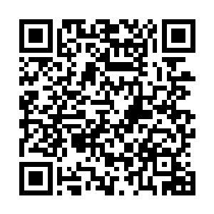 秦洛便开始介绍秦洛的入职简历以及他所做出来的杰出贡献二维码生成