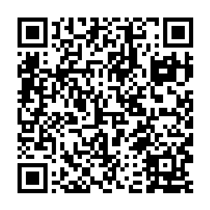 秦洛看着坐在他对面正在和红衭微笑聊天看起来相谈甚欢的秦纵横二维码生成