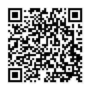 秦玉霞不免将这位新任主任当成了刚刚进入职场的学生仔二维码生成