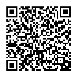 秦玉霞在电话里说新来的科主任张医生请全科室医护人员在望江大饭店吃饭二维码生成