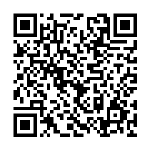 稍微有些害怕地看了一眼被打得血肉模糊的风衣男二维码生成