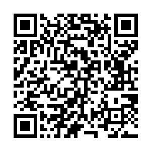 穆根家的包子最早也是通过罗罗亚的飞船送到其他星球的二维码生成