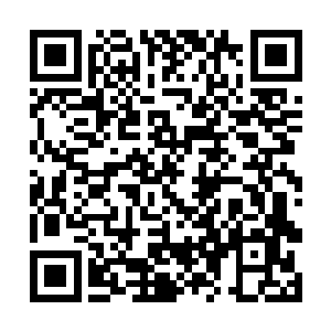 穆根就是他第一次出来推销花绿菜的时候和他认识的二维码生成