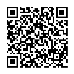 突然涌过来的巨大的灵力全作用到阵眼之上的三人身上二维码生成