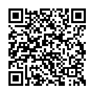 立刻从符咒世界中取出一块数百斤大石放在地上二维码生成