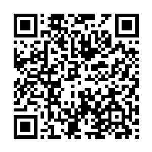 立刻就被他身上凝结出的一个防御气罩给抵挡住了二维码生成