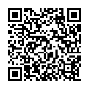 竟然就把刚刚晋升传奇的梅迪尔丽给轻松制服了二维码生成