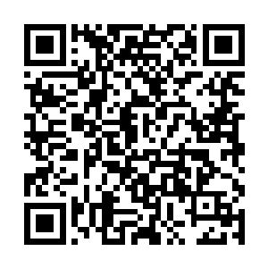 第一时间就是传音符或者传讯水晶迅速联络询问羽溪二维码生成
