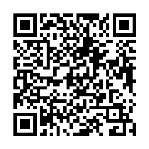 第一期编写内容是省厅的处置办法和各地市局行动情况二维码生成