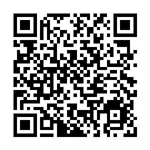 第一杯酒自然是要敬给坐在主桌主位的陈学智的二维码生成