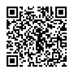 第二则是说他被罗曼菩提人施了神经毒素才会造成整这种疯狂二维码生成