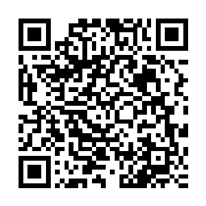 第二天似乎整个互联网都被这两条以及类似意思的软文霸屏了二维码生成