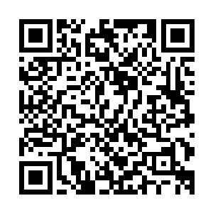 第二天刚好是周末的穆小根还带着罗罗亚去邻居家挨个拜访了二维码生成