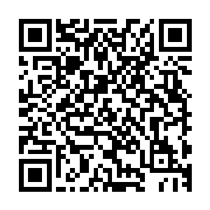 第二天收集的队伍赶了小半天的路终于抵达了粉果的生长区域二维码生成