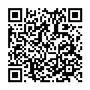 第八转已经可以将我的战力加持到中等界主上以二维码生成