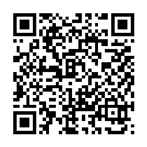 等着小尼姑引路带自己去见藏在庵内暗室中的表妹二维码生成