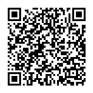 米高梅大酒店这样的拳击场馆才是真正有资格举办伟大拳赛的地方二维码生成