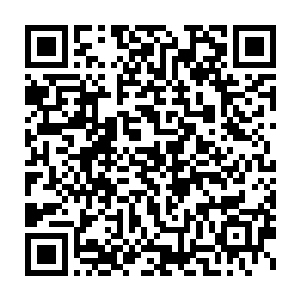 紧跟在凌菲后面的龙战用大大的一兽皮从后面把凌菲给包的严严实实的二维码生成