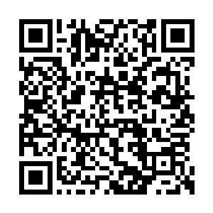 组成你我血肉之躯的细胞和基因都是真实存在的二维码生成