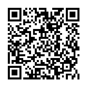 结果你居然安排里面的那些大明星去当老师……二维码生成