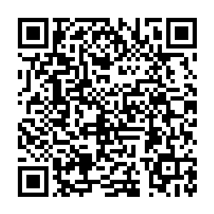 结果斯内德在曼城第一个赛季就帮助曼城在小组赛中淘汰了皇家马德里二维码生成