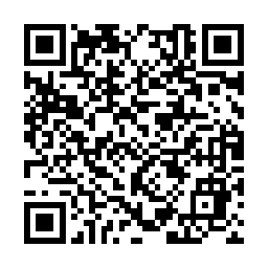 结果碰上一个不会打乒乓球的中国人真是稀奇……二维码生成