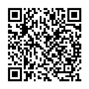 给了他们一些丹药和自己已经用不上的法器符箓二维码生成