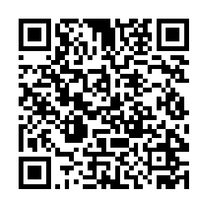 给大家一人一颗服用下去……这些可是我珍藏的灵丹二维码生成