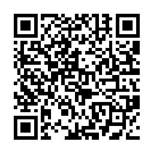 绝刀和拔山几乎是在同一时间到了叶尊前方的百米处二维码生成