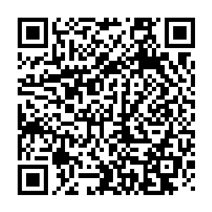 绝对可以将一个活生生的人类强者冻成冰块的……哪怕是至尊境强者二维码生成