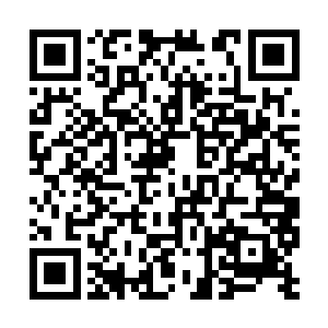 绝对还是可以将刘东军的层次再推上一个小境界的二维码生成