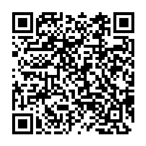 继史上第一条会发短信的神龙之后史上第一条会打字的神龙也出现了二维码生成