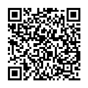 继续利用希望号和神明法旨去探索新的蛮荒宇宙二维码生成