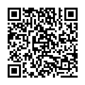 美好的前程似乎也在自己面前铺就了一条灿烂的锦绣之路二维码生成