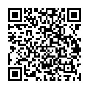 翻掌便从储物戒指中取出了那枚散发着玄光的阵旗二维码生成