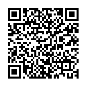 老乡的表情和秦宇当初在镇上询问张启涛时那些百姓的表情一样二维码生成