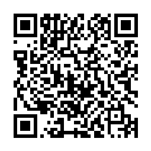 考核你们是否有开门授徒资格的大比将会在三天后举办二维码生成