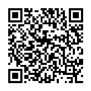 而且不管是尊者还是鬼王都跟着苏凡有着很深的梁子二维码生成