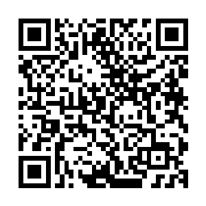 而且他体内有着雄厚的信仰之力以及当年宰杀封界树神的树心二维码生成