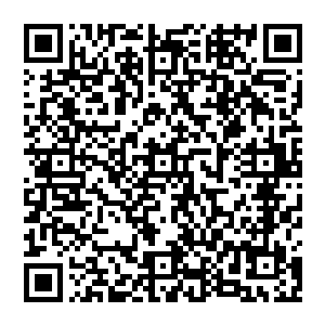 而且他自己也不是那种纯粹摇滚的忠实拥护者――其实在二十一世纪的环境里纯粹摇滚已经很难存活了二维码生成