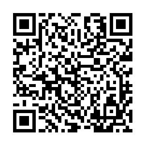 而且众人发现他身体原本的赤红也在以肉眼可见的速度消退二维码生成